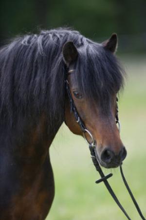 staj_ufonek6836.jpg